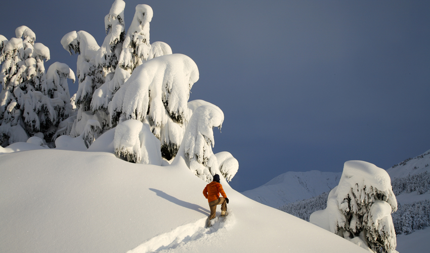 snowshoeing